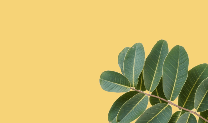 Как сохранить здоровье зубов и десен при смене климата?