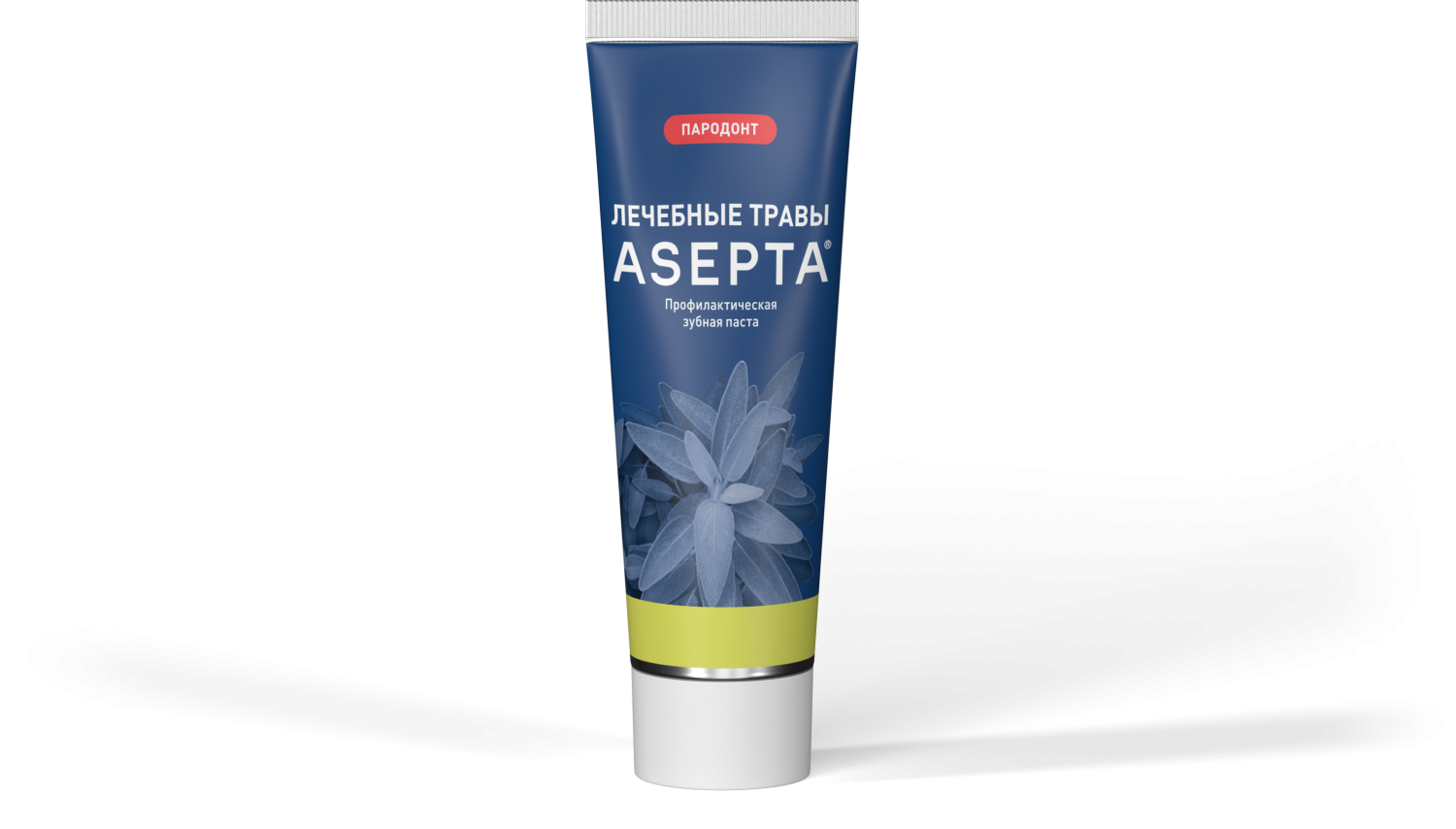 Зубная паста ASEPTA Лечебные травы